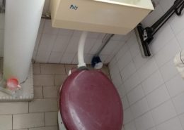 WhatsApp Image 2018-10-12 at 19.55.49(1)