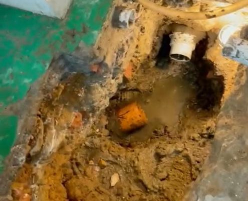 WhatsApp Image 2022-03-25 at 8.57.46 PM